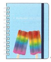 2026年3月始まり ロルバーンダイアリーヤミーM DELFONICS(デルフォニックス) C 360019-972