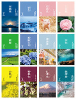 【宅配便対応】2024年　カレンダー　新日本カレンダー　にっぽんのいろ日めくり