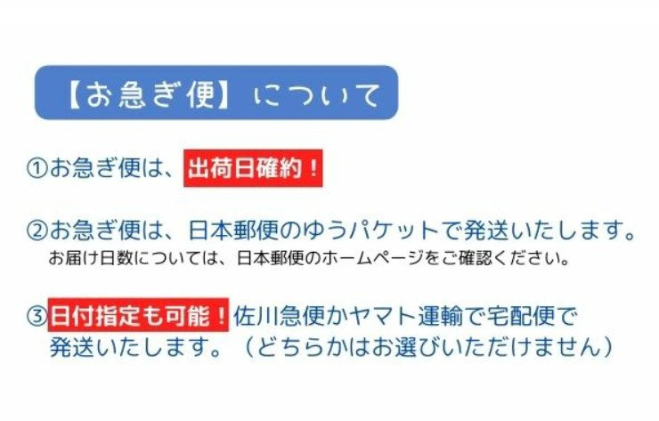 【感動名入れ】PRKER ジョッター サステナブル ブルーCT ジェルペン